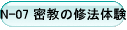 N-07 ̏C@̌